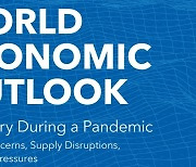 IMF, 세계경제성장률 전망치 소폭 하향..올해 5.9% 예상