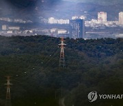 고요한 서부전선 DMZ