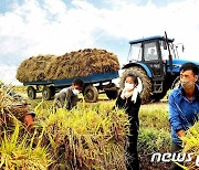 가을걷이 한창 북한.."허실 없는 농사" 강조