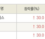 [fnRASSI]오늘의 상한가, 나노씨엠에스 30.0% ↑