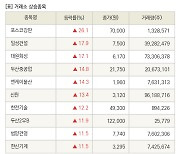 [fnRASSI]장마감, 거래소 상승 종목(포스코강판 26.1% ↑)