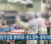 '납품단가 갑질' 롯데마트-중소 업체..중재 이르러