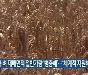 전북 벼 재배면적 절반가량 '병충해'.."체계적 지원해야"