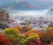 몽환적 만추의 서정.. 신비한 마법에 빠지다