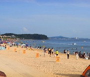 전국 해수욕장 평가서 '보령 대천해수욕장' 3대 우수해수욕장 선정