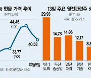 '에너지 대란'에 존재감 쑥..치솟는 원전株