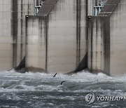 임진강 필승교 수위 상승