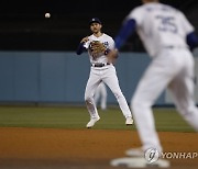 USA BASEBALL MLB PLAYOFFS