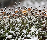 POLAND WEATHER FIRST SNOW