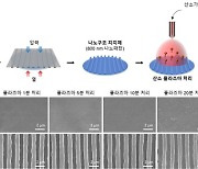 손상된 조직 재생 돕는 나노 멀티스케일 지지체 개발