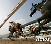 코로나19 경마 중단 여파..부산 레저세 감소액 '비수도권  최다'