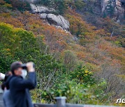 가을 정취 물씬