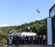 우포 따오기 40마리 가을 하늘 '훨훨'..창녕서 4번째 자연 방사