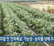전북 주말 첫 '한파특보' 가능성..농작물 냉해 주의