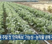 전북 주말 첫 '한파특보' 가능성..농작물 냉해 주의