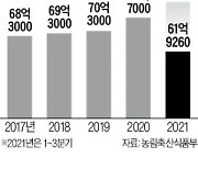 김치·딸기 '세계로'..농식품 수출 신기록 쓴다