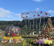 유잼 대전, 이색 핼러윈 '대청호 오색빛 호박축제'