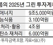 SK, 2025년까지 그린산업에 14조원 투자