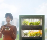 LG전자, 식물생활가전 'LG 틔운' 출시