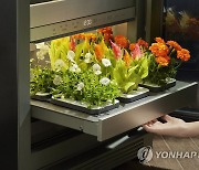 LG전자, 식물 재배과정 자동화한 'LG 틔운' 출시