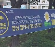 공원서 예쁘다고 '쑥'..포항시 '꽃나무 도둑' 수배령