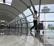 '얼마나 기다렸길래'..싱가포르 국경 개방에 항공사 웹사이트 마비