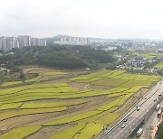 [경기] "경기 오산 운암뜰 사업도 '대장동'과 같아..재검토해야"