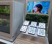 [IT신상공개] 집안으로 들어온 디지털 정원, LG전자 식물생활'신'가전 - 'LG틔운'