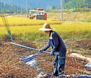 [한 컷] 가을은 수확의 계절