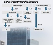 SeAH CSS forecast to post record earnings in 2021 on strong special steels portfolio