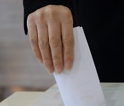 '투표하는 손'