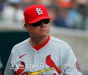 세인트루이스, '17연승 신기록' 실트 감독 전격 경질
