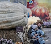 RUSSIA LARGEST PUMPKINS GROWN EXHIBITION