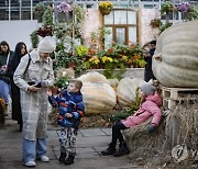 RUSSIA LARGEST PUMPKINS GROWN EXHIBITION