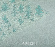 [e갤러리] 쭉정이 마음, 이름없는 산이 알아준다..김형주 '유예'