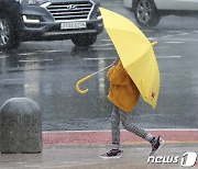 [오늘의 날씨]부산·경남(16일, 토)..'비' 소식, 교통안전 유의