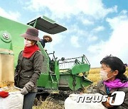 가을걷이에 힘 쏟는 북한..'최고수확 수준 돌파'