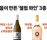 피트와 졸리, 박세리도 손 댔다..셀럽이 만든 와인 아시나요?
