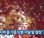"경북지역 올 가을 단풍 이달 말 절정"