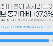 올해 IT분야 일자리 늘어.."작년보다 37.3% 증가"