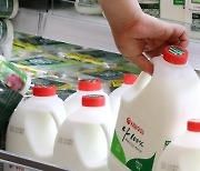 '흰 우유 의무급식제' 폐지.. 장병들은 '바나나 우유' 가장 선호