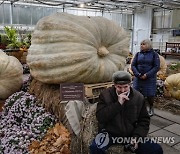 epaselect RUSSIA LARGEST PUMPKINS GROWN EXHIBITION