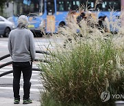 [날씨] 서울 아침 최저 0도..휴일 전국 곳곳 한파특보