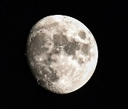 [포토] '선명한 달'