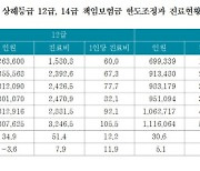 "보험금 한도 조정해 나이롱환자 막아야"