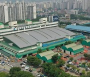 인천 삼산농산물도매시장 2024년까지 시설현대화 추진