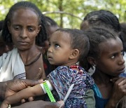 유엔 식량안보위 "작년 기아인구 8억..국제사회 협력 필요"