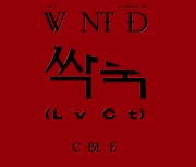 씨엔블루, 신곡 '싹둑' 음원 스포일러 공개..독특한 스포일러에 '기대 UP'