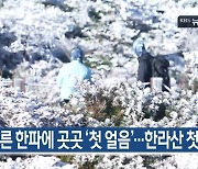 [10월 17일] 미리보는 KBS뉴스9