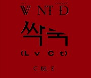 '컴백 D-3' 씨엔블루, '싹둑' 잘린 독특한 신곡 스포일러 무슨뜻?